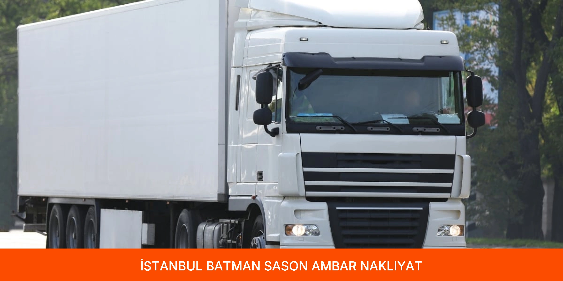 Sason Ambar
